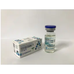 Testosterone P 10ml