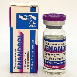 Enandrol 10ml (Testosterona E)