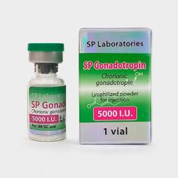 SP Gonadotropin 5000 - Human Chorionic Gonadotropin - SP Laboratories