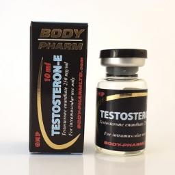 Testosteron-E BodyPharm - Testosterone Enanthate - BodyPharm