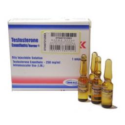 Testosterone Enanthate (Norma)